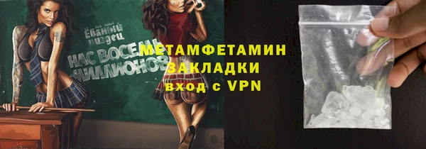 шишки Осташков