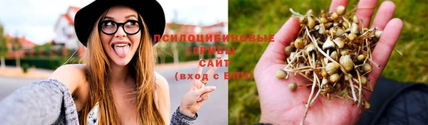 трава Алексеевка