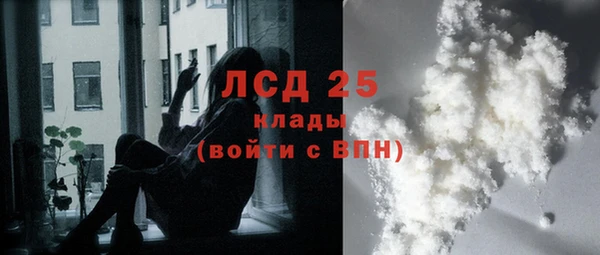 шишки Осташков