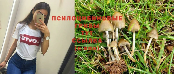 стафф Осинники