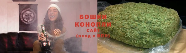 стафф Осинники