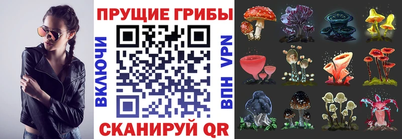 дарнет шоп Салехард Галлюциногенные грибы Magic Shrooms